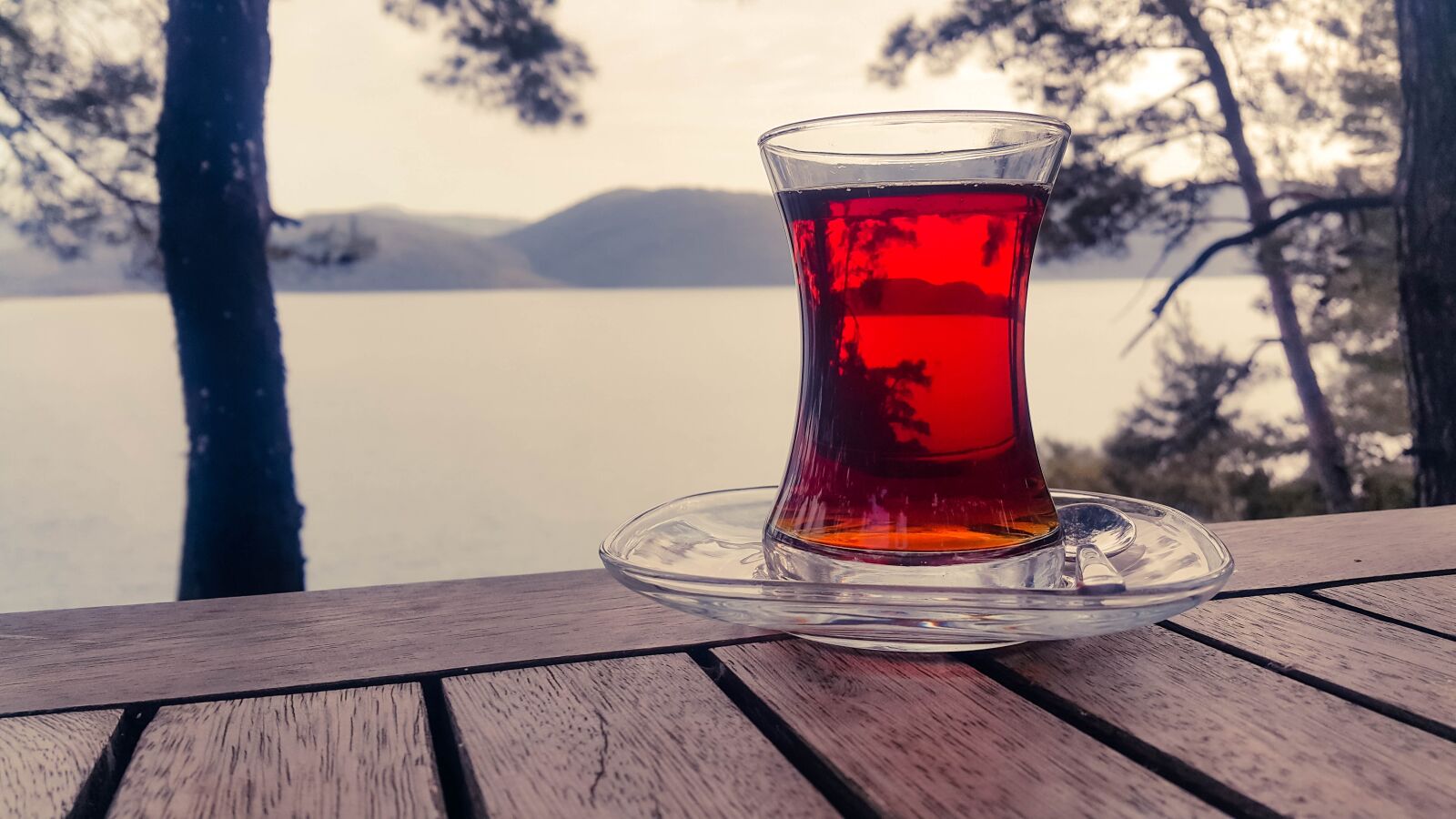 Samsung Galaxy Note4 sample photo. Tea, tea cup, nature photography