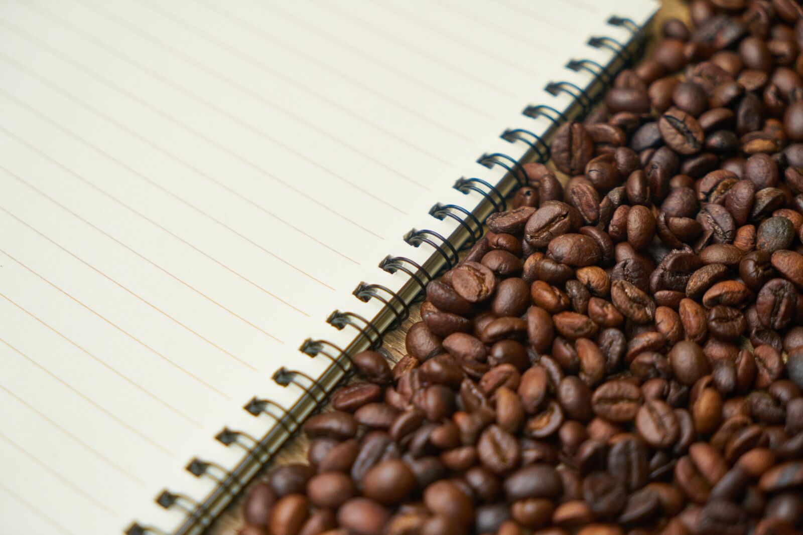 Sony a7R II sample photo. Notebook, coffee, course photography