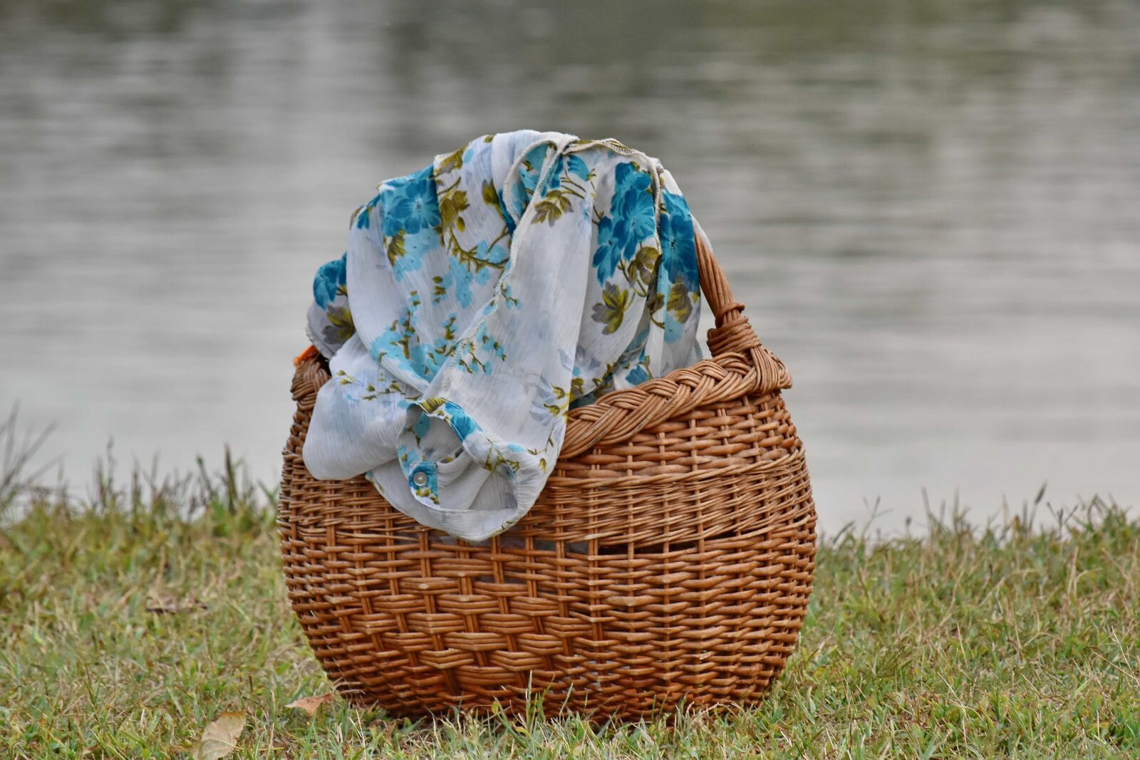 Nikon D5500 sample photo. Green grass, handmade, light photography