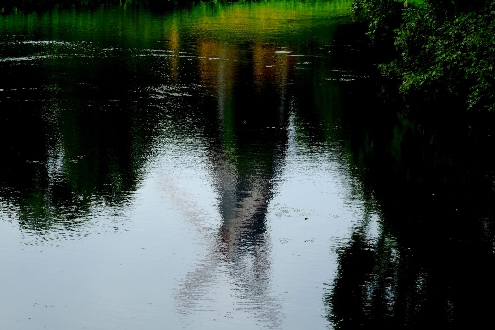 Fujifilm X-E1 sample photo. Mirroring, water, nature photography