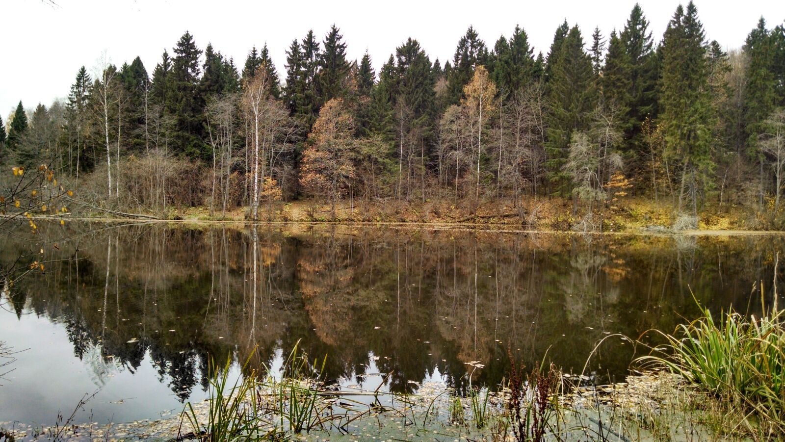 Motorola Moto X (1st Gen) sample photo. Autumn, lake, reflection photography