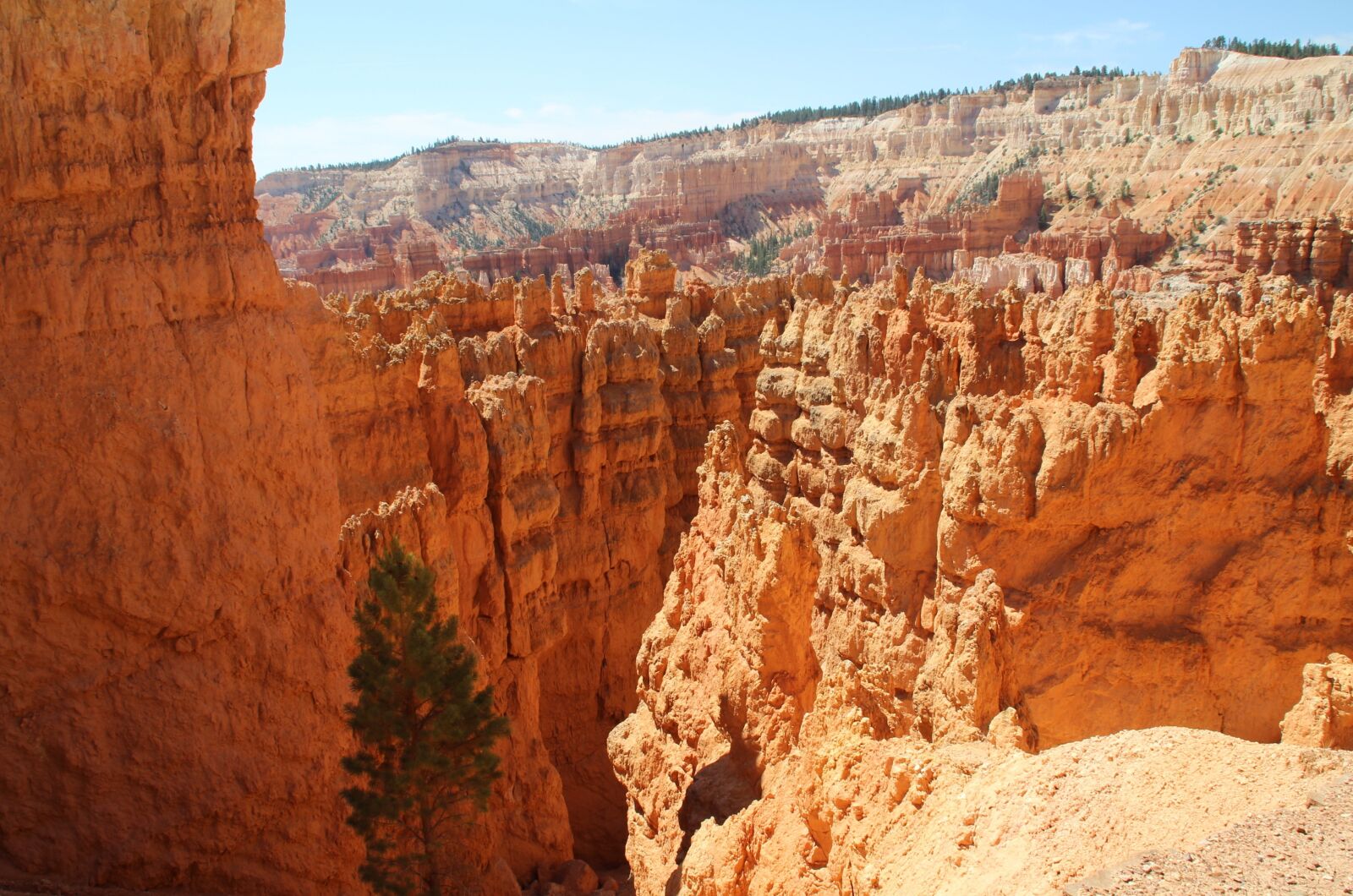 Canon EOS 600D (Rebel EOS T3i / EOS Kiss X5) sample photo. United states, canyon, nature photography