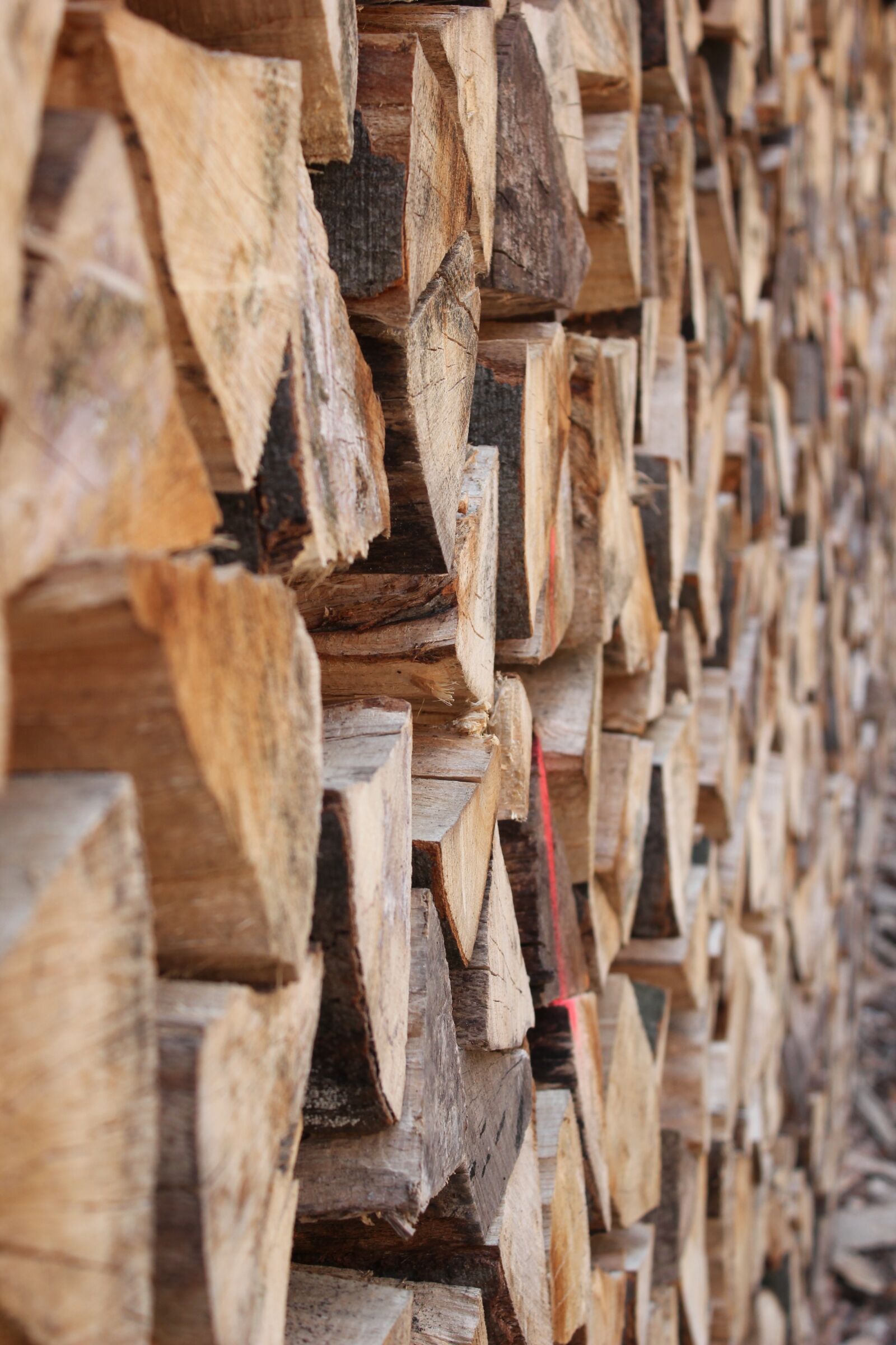 Canon EOS 550D (EOS Rebel T2i / EOS Kiss X4) sample photo. Holzstapel, wood, firewood photography