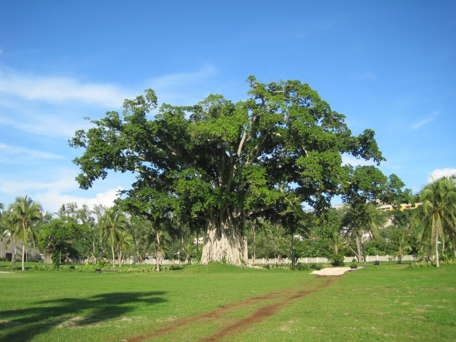 Canon PowerShot SD1200 IS (Digital IXUS 95 IS / IXY Digital 110 IS) sample photo. Tropical, beach, the sea photography