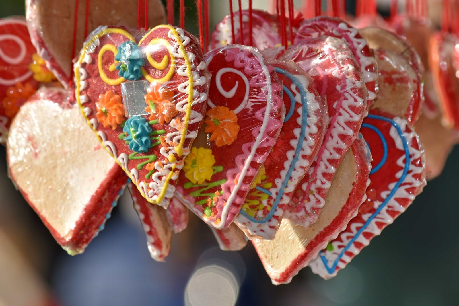 Nikon D5500 sample photo. Gingerbread, hearts, heart, decoration photography