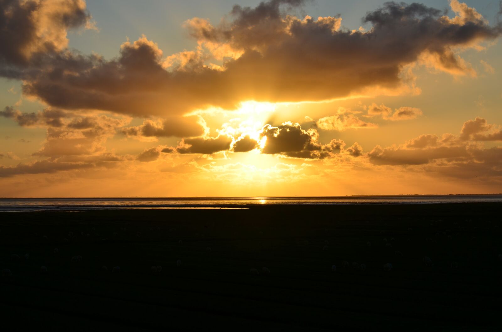 Nikon D5100 sample photo. Sunset, sea, water photography