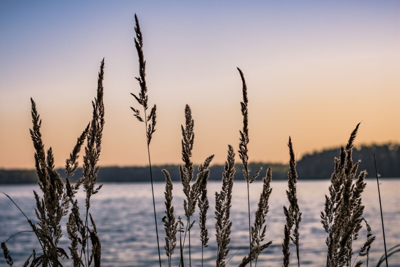 Nikon D7200 sample photo. Sunset, water, lake photography