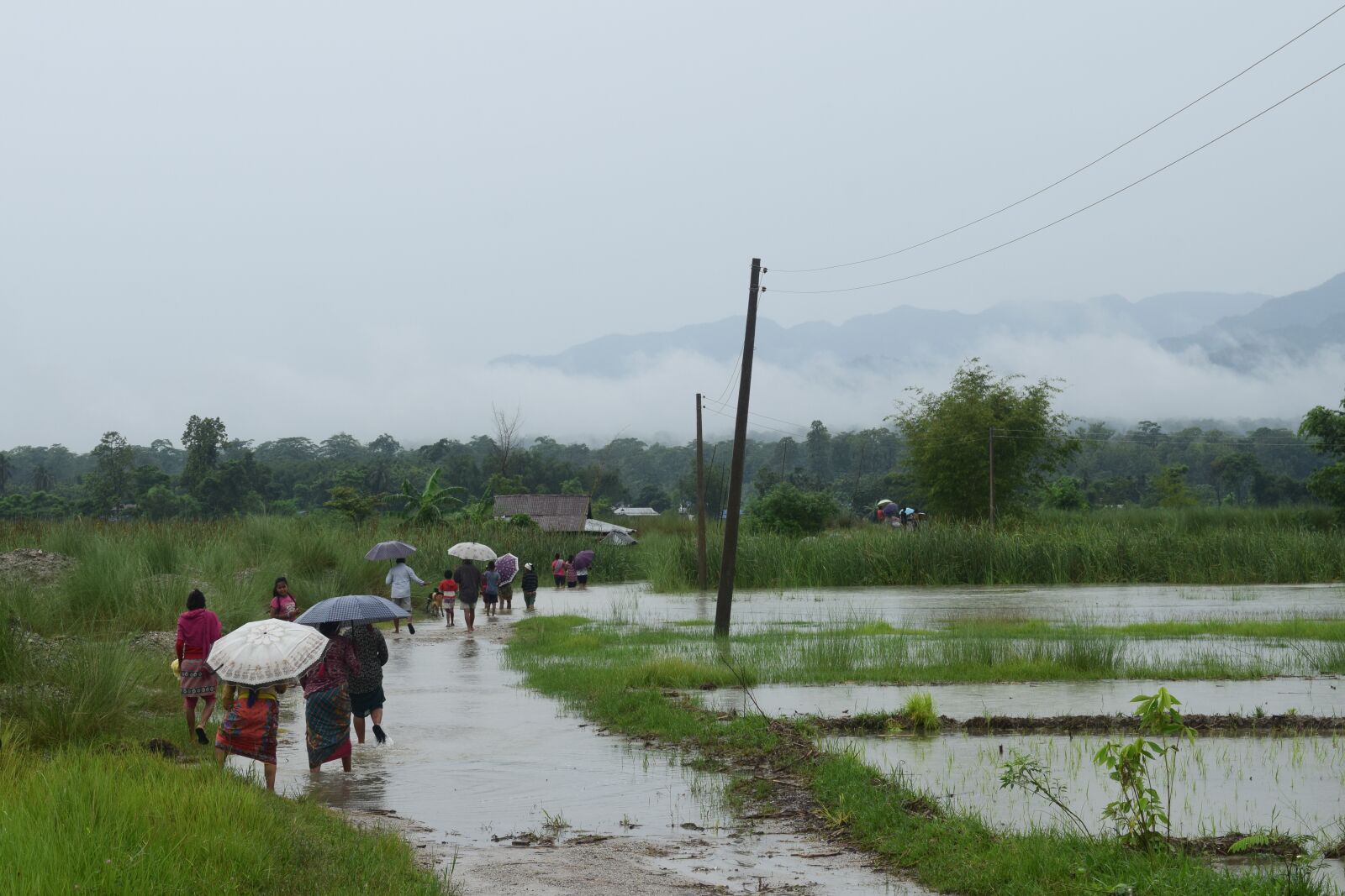 Nikon D5300 sample photo. Monsoon rain, rain, monsoon 2020 photography