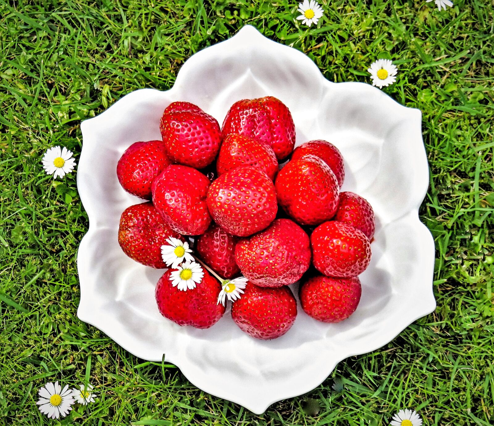 Canon PowerShot SX710 HS sample photo. Strawberries, fruits, meadow photography