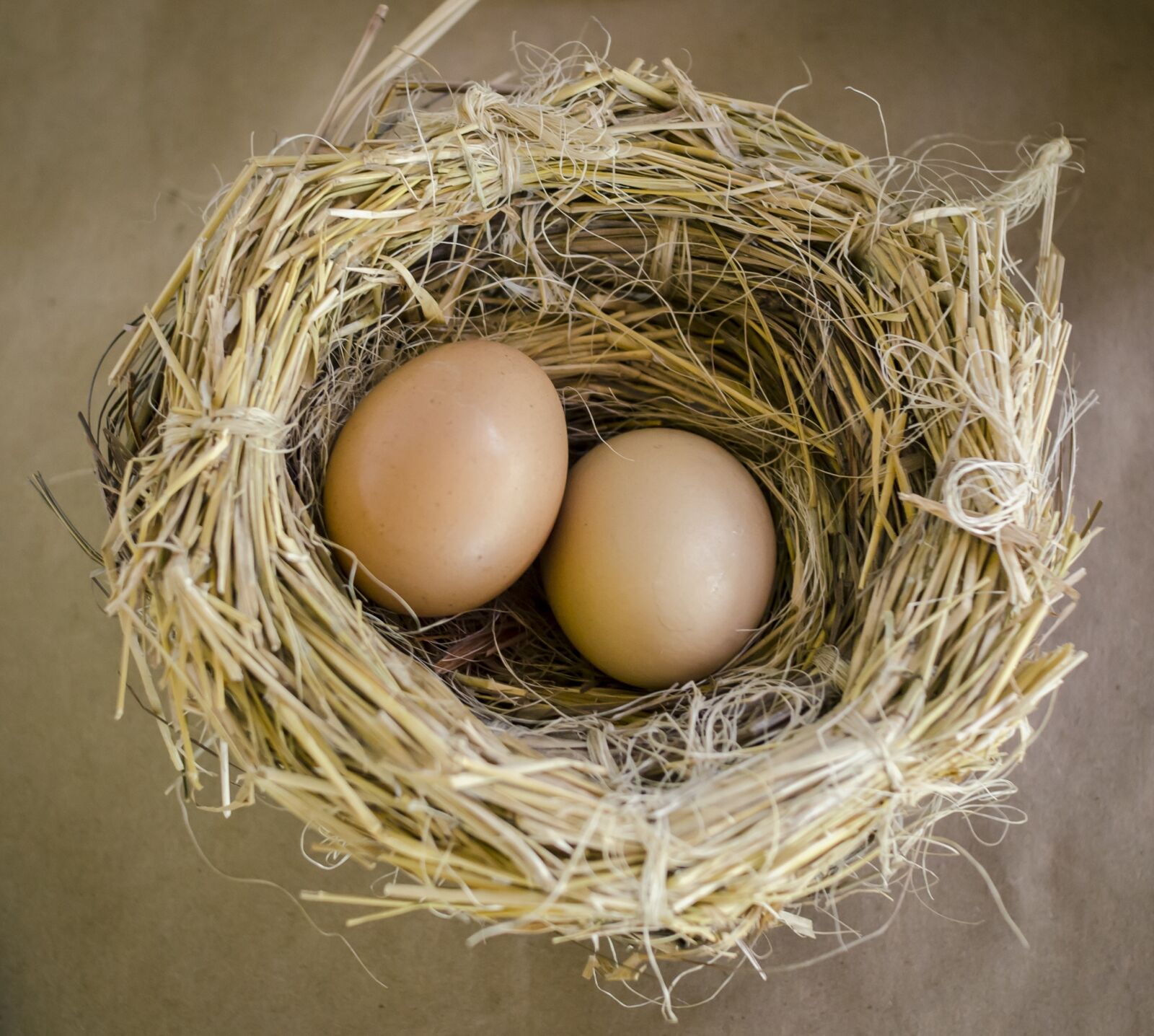 Nikon D5100 sample photo. Eggs, nest, mexico photography