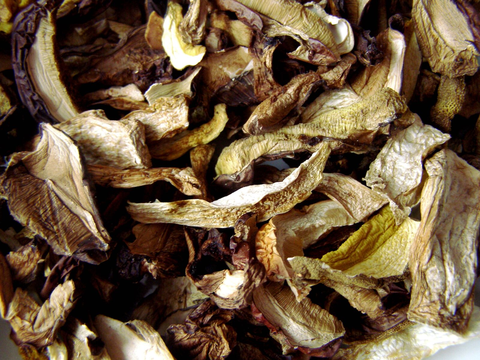 Olympus SP500UZ sample photo. Mushrooms, dried, drying photography