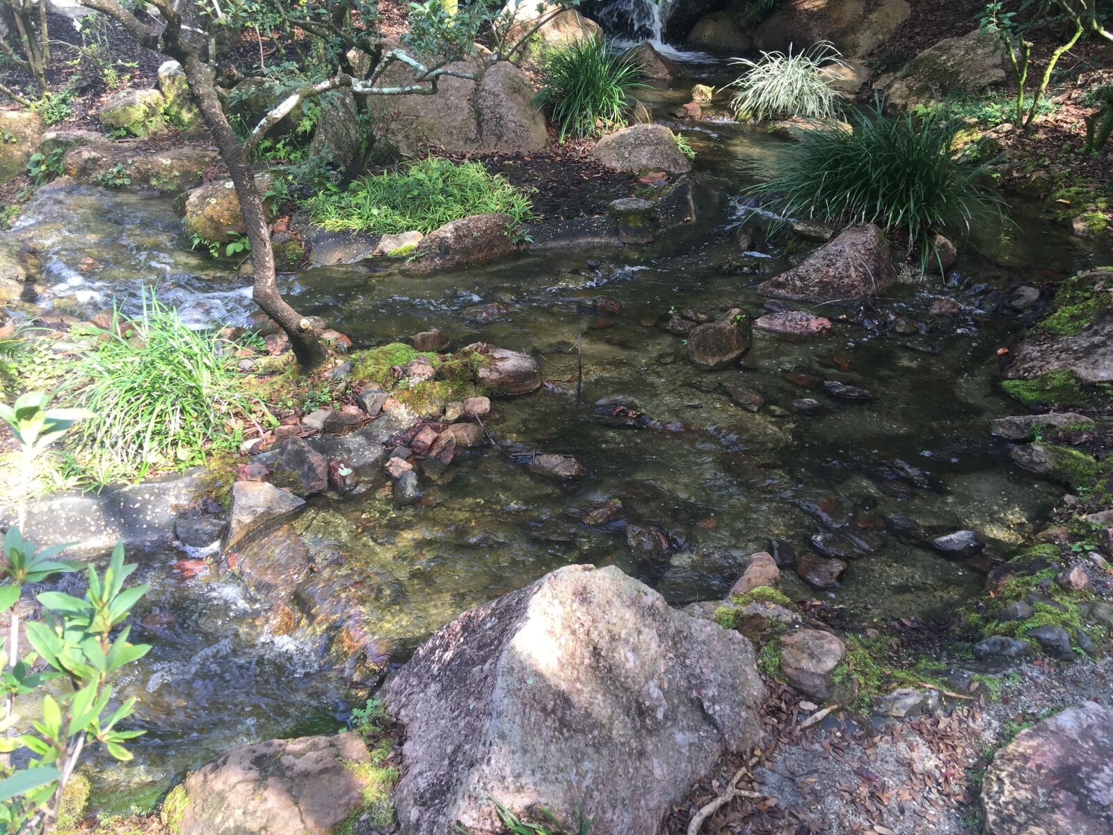 iPhone 6 Plus back camera 4.15mm f/2.2 sample photo. Nature, stream, water photography