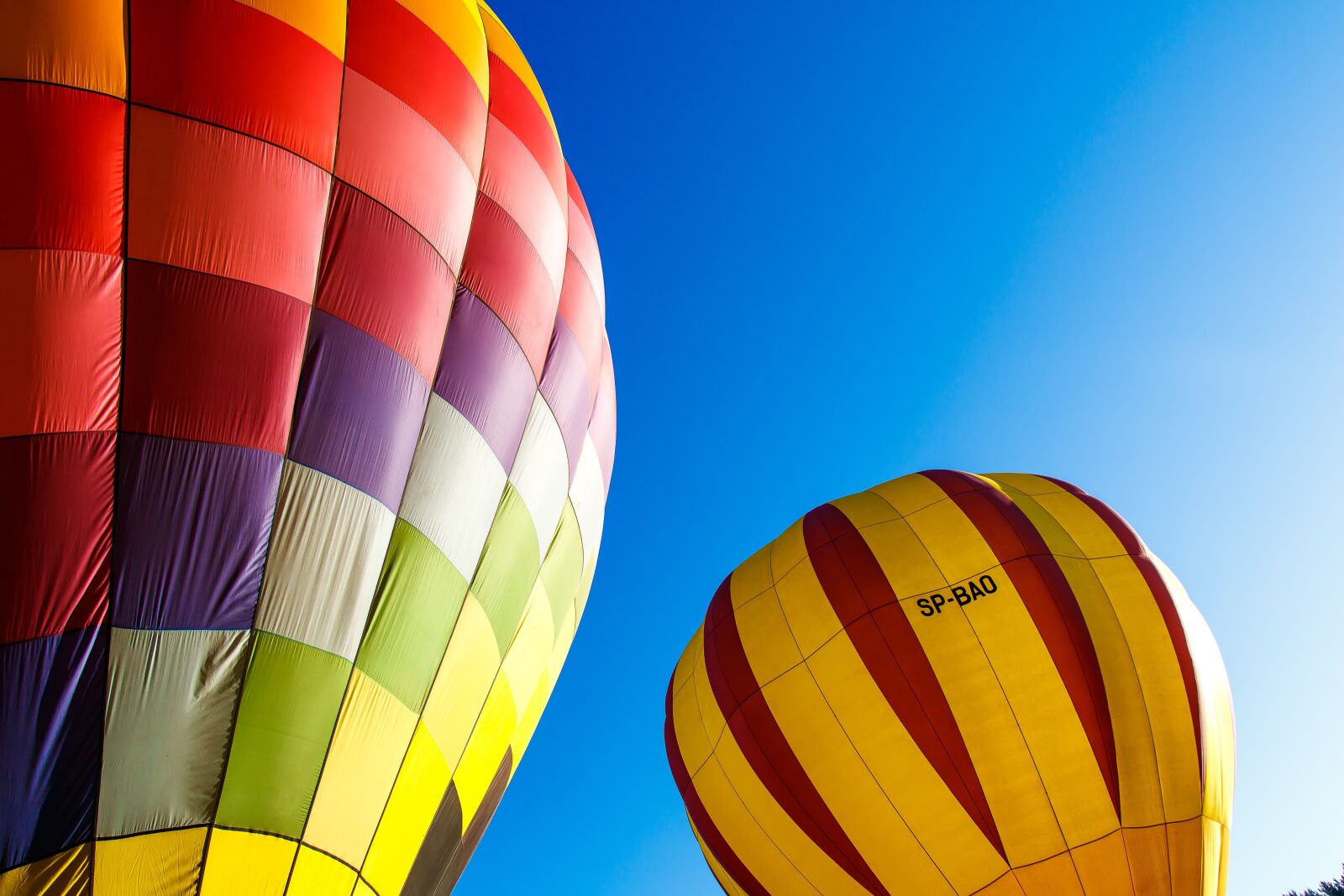 Canon EOS 760D (EOS Rebel T6s / EOS 8000D) sample photo. Balloons, flying, colorful photography