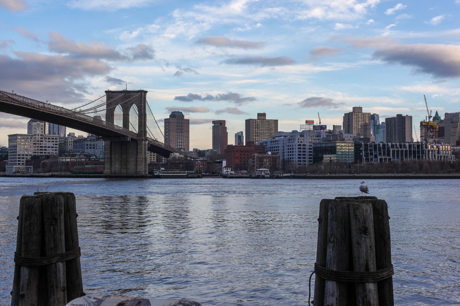 Canon EOS 5D Mark II sample photo. Brooklyn bridge, manhattan, dove photography