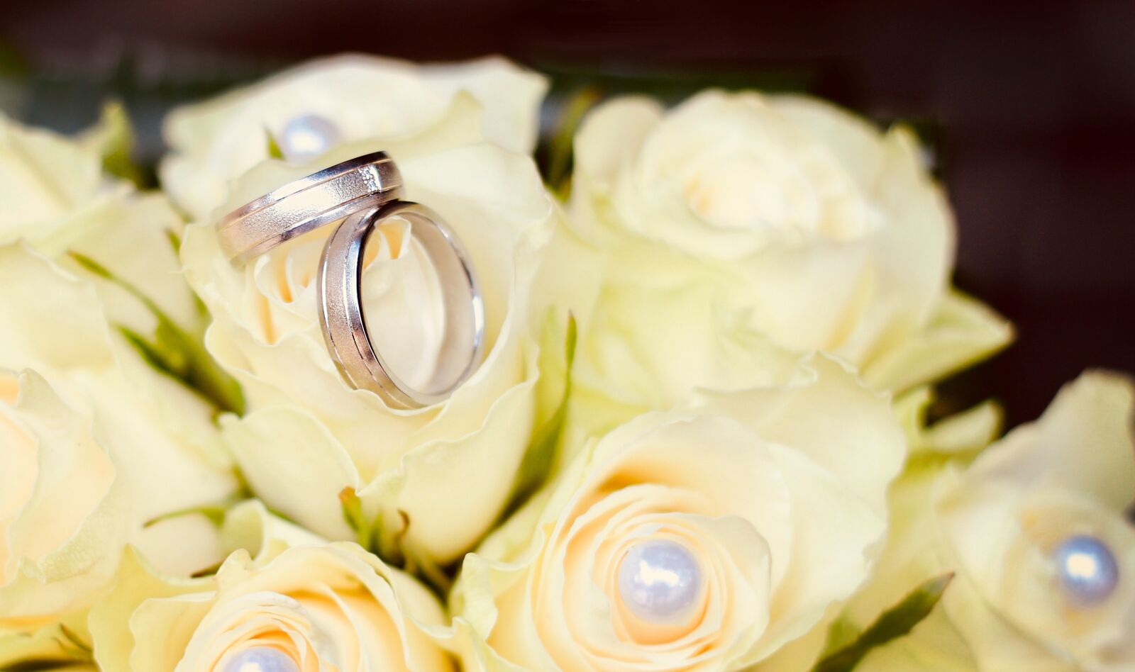 Canon EOS 600D (Rebel EOS T3i / EOS Kiss X5) + Canon EF 50mm F1.8 II sample photo. Ring, wedding, roses photography
