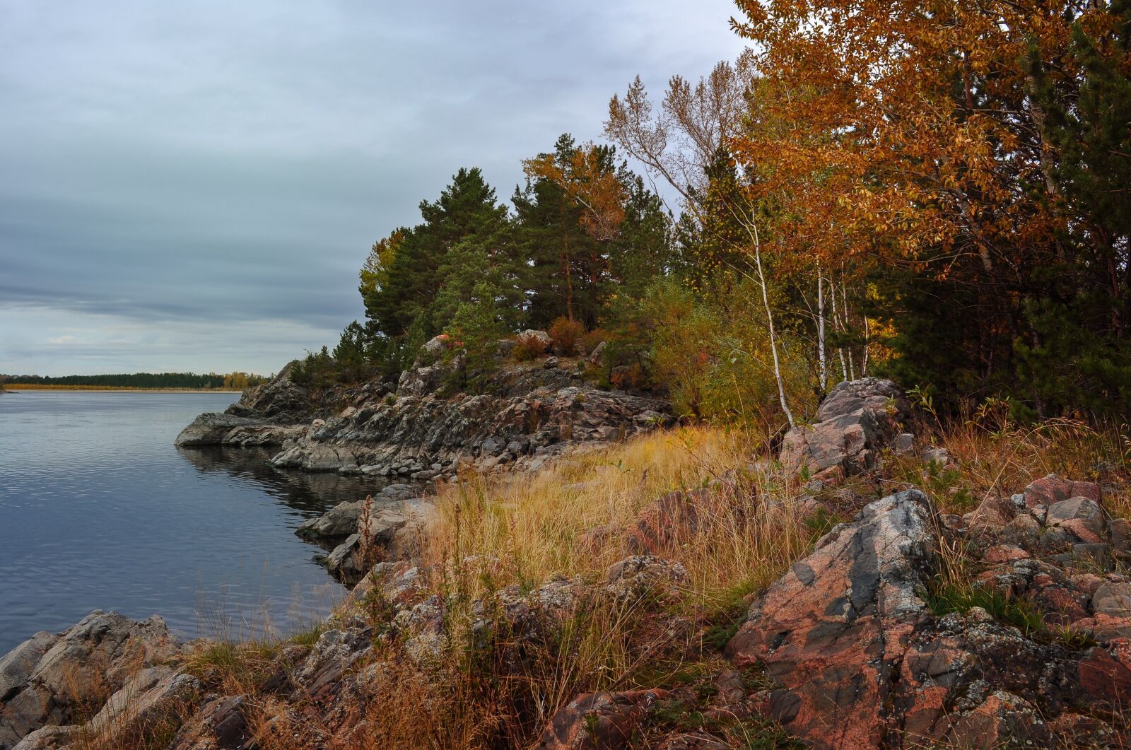 Nikon D5000 sample photo. Nature, landscape, forest photography