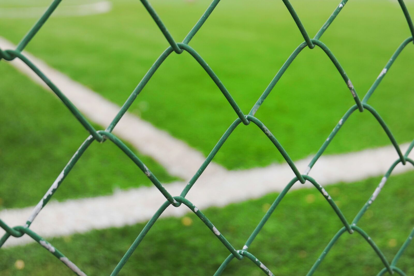 Fujifilm X-M1 sample photo. Sport, green photography