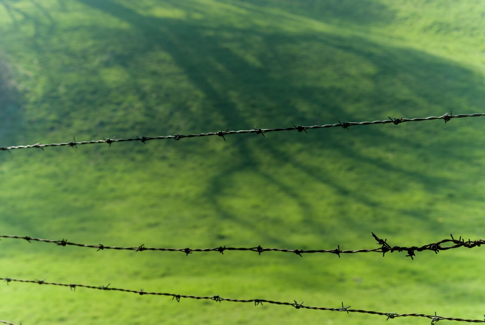 Nikon D80 sample photo. Nature, landscape, field photography