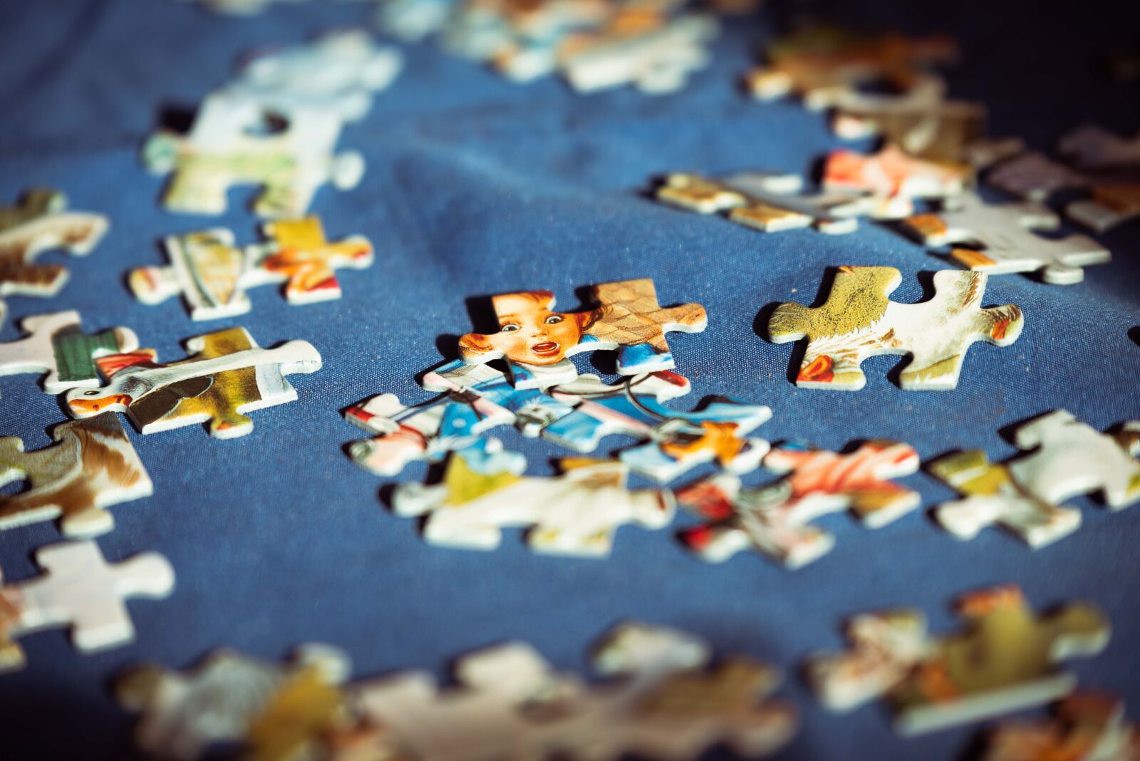 Nikon D750 sample photo. Pieces of the puzzle photography