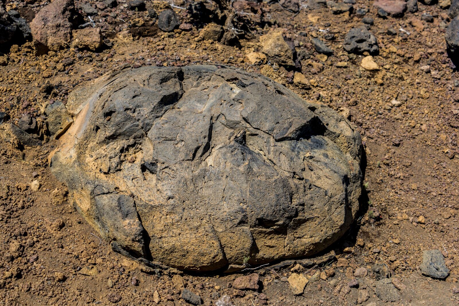 Canon EOS 70D sample photo. Volcano, canary islands, volcanic photography