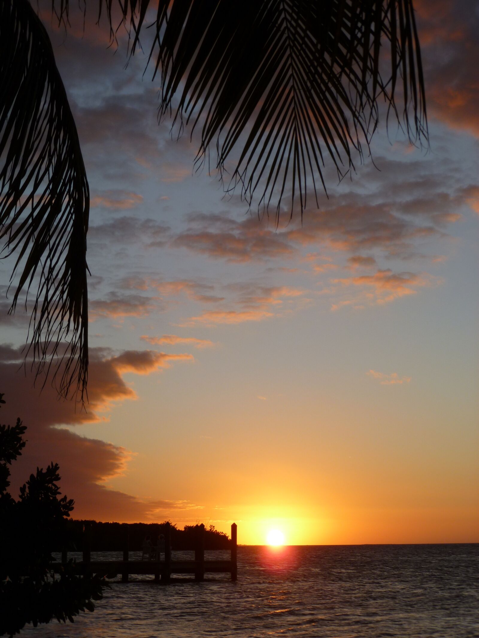 Panasonic DMC-FH20 sample photo. Key west, marathon, florida photography