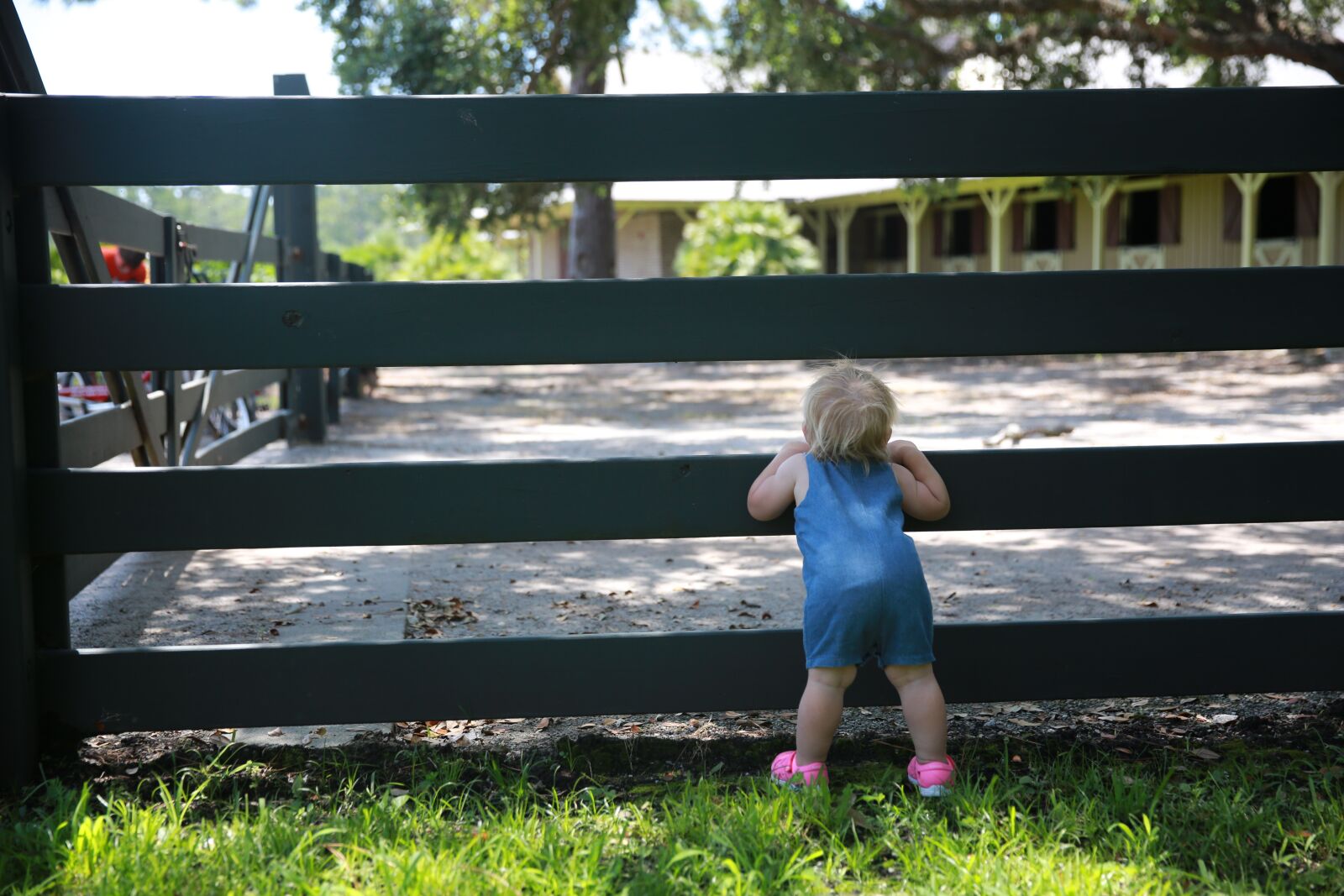 Canon EF 24-70mm F2.8L II USM sample photo. Girl, child, fence photography