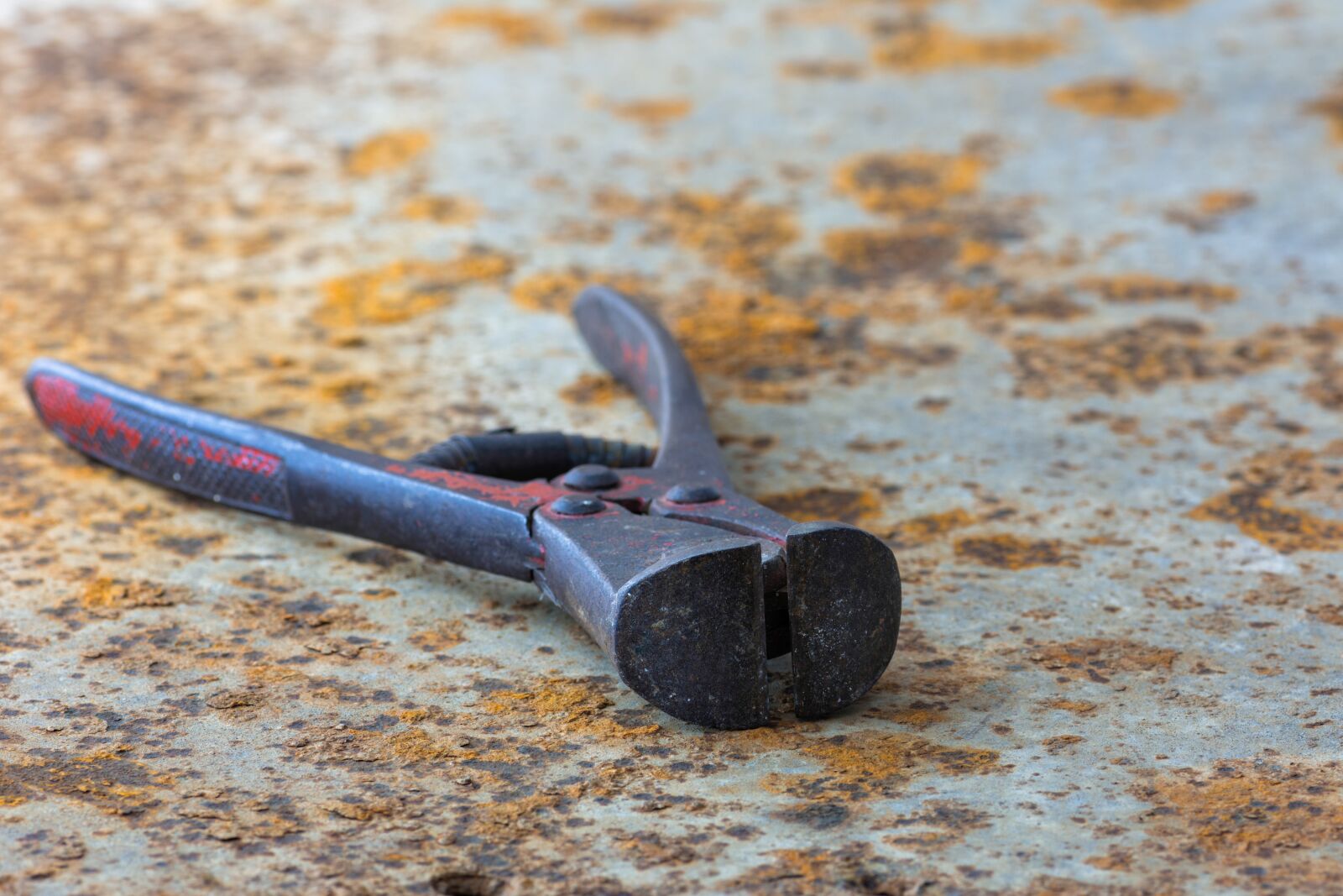 Nikon D7200 sample photo. Pliers, sharp, feather photography