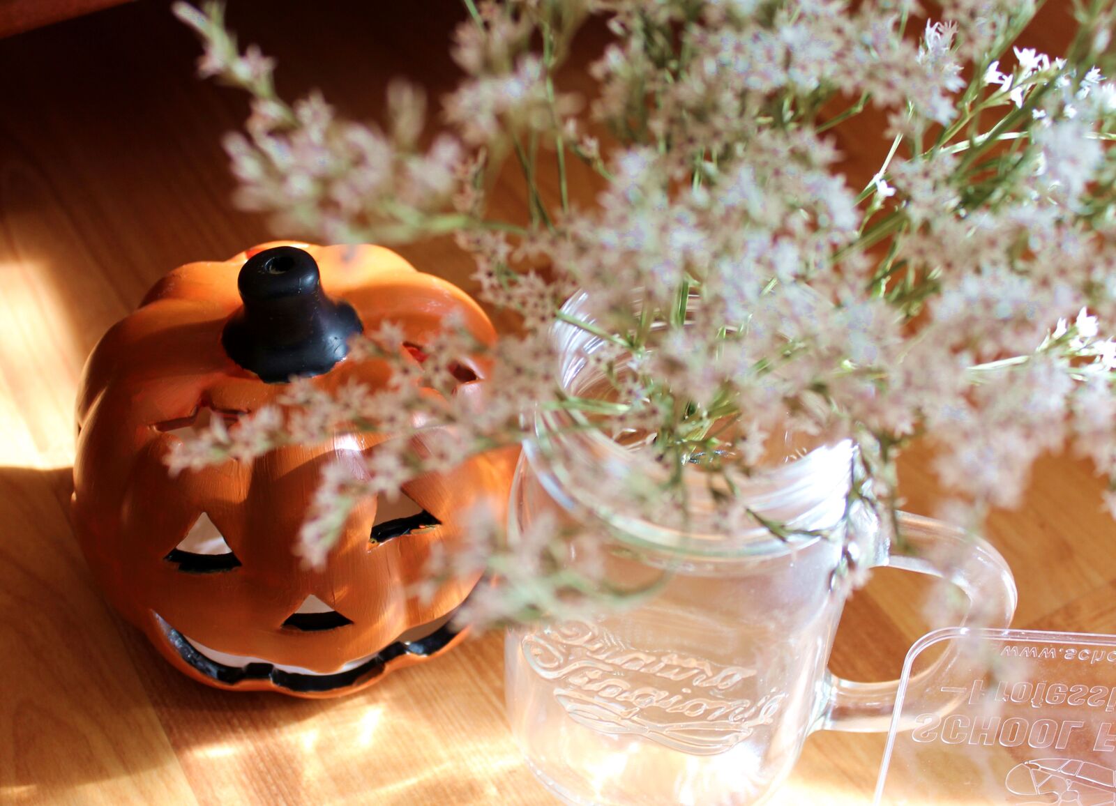 Canon EOS 700D (EOS Rebel T5i / EOS Kiss X7i) sample photo. Autumn, pumpkin, flowers photography