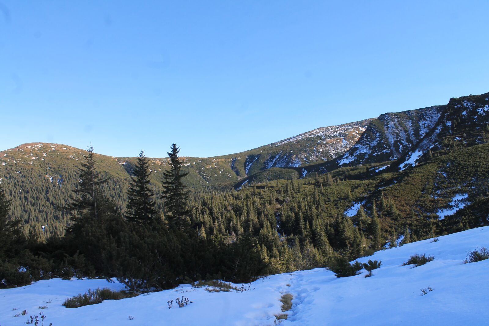 Canon EOS 1100D (EOS Rebel T3 / EOS Kiss X50) sample photo. Mountains, the carpathians, slopes photography