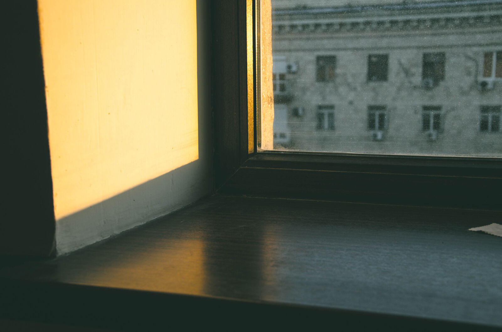 Nikon D5100 sample photo