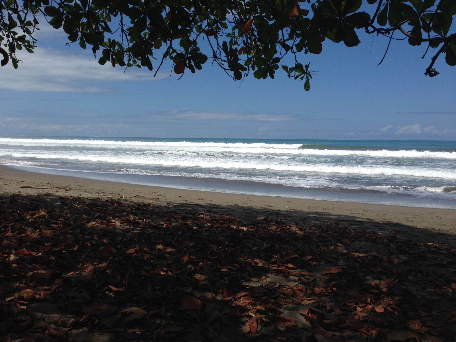 iPhone 5 back camera 4.12mm f/2.4 sample photo. Beach, costa, rica, ocean photography