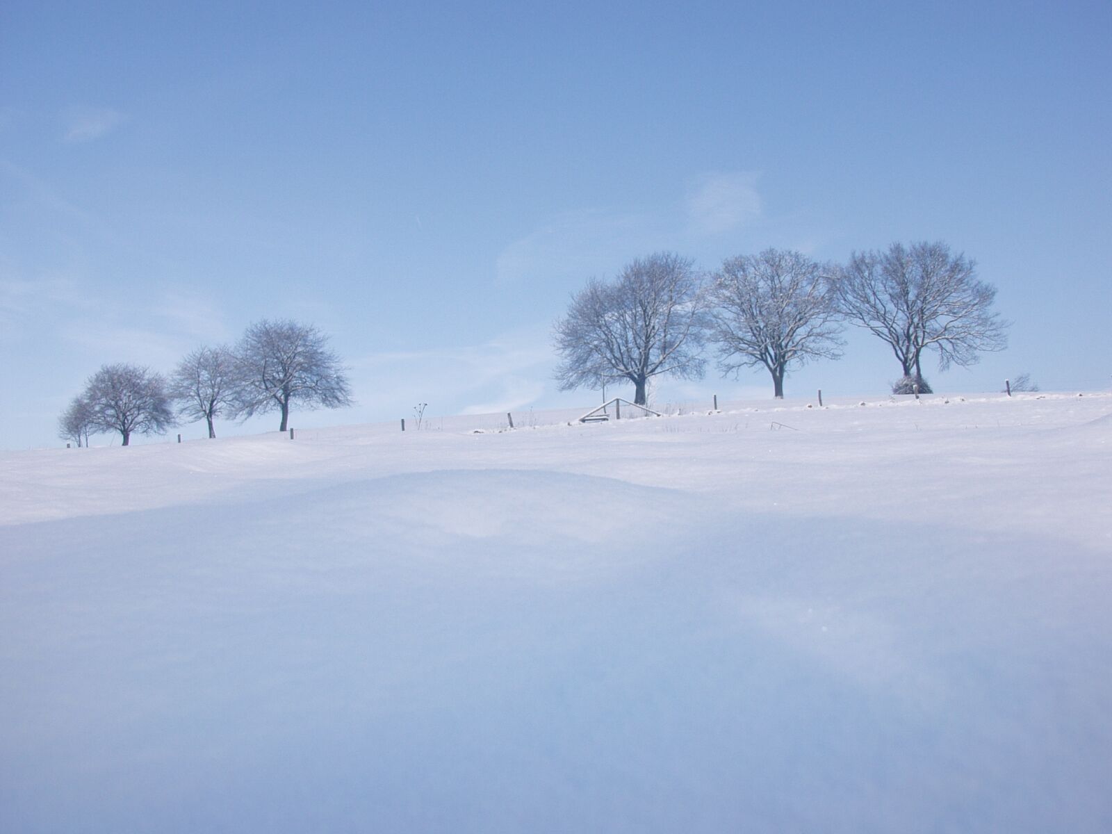 Olympus E-10 sample photo. Snow, winter, landscape photography