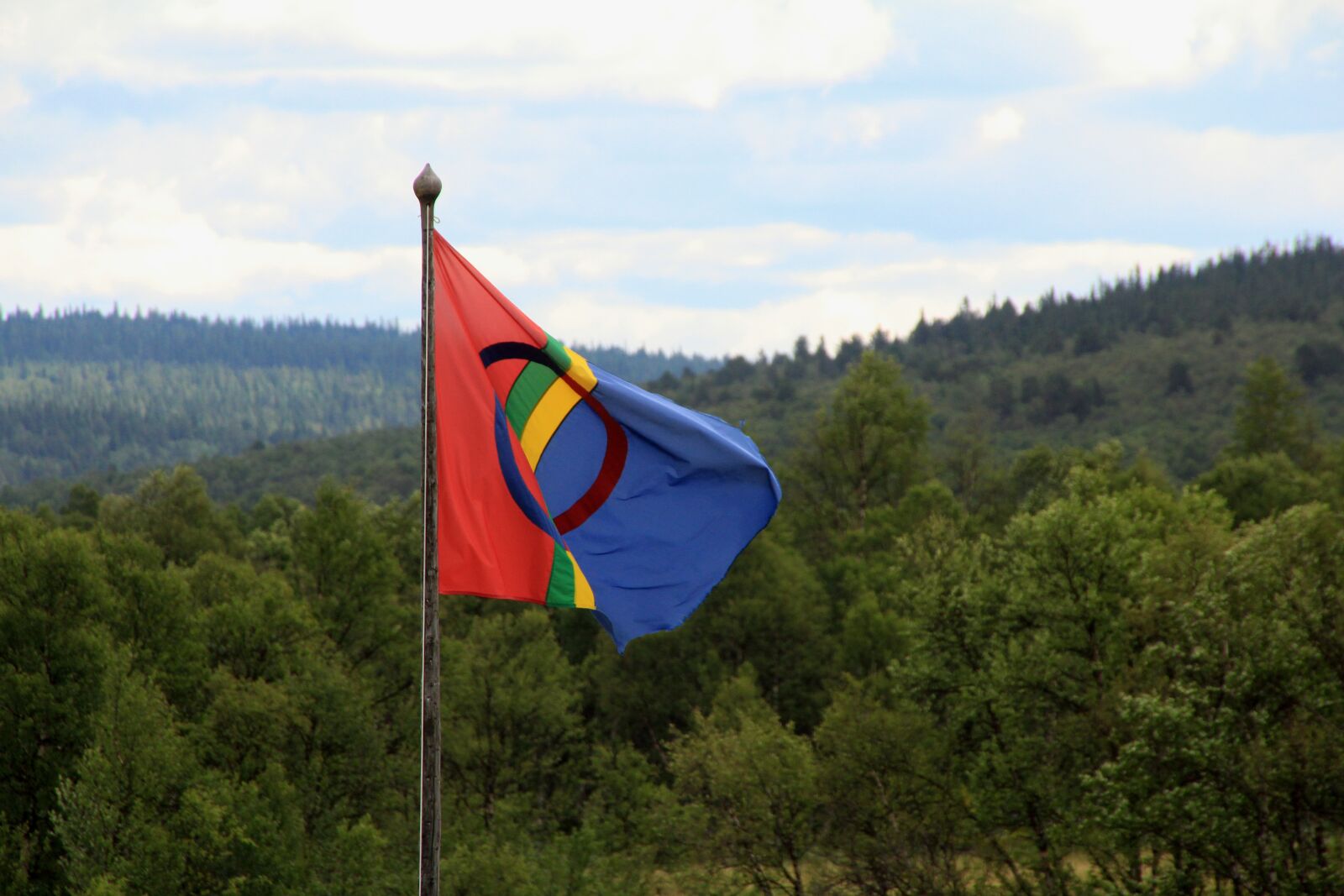 Canon EOS 60D sample photo. Flag, seeds, sweden photography