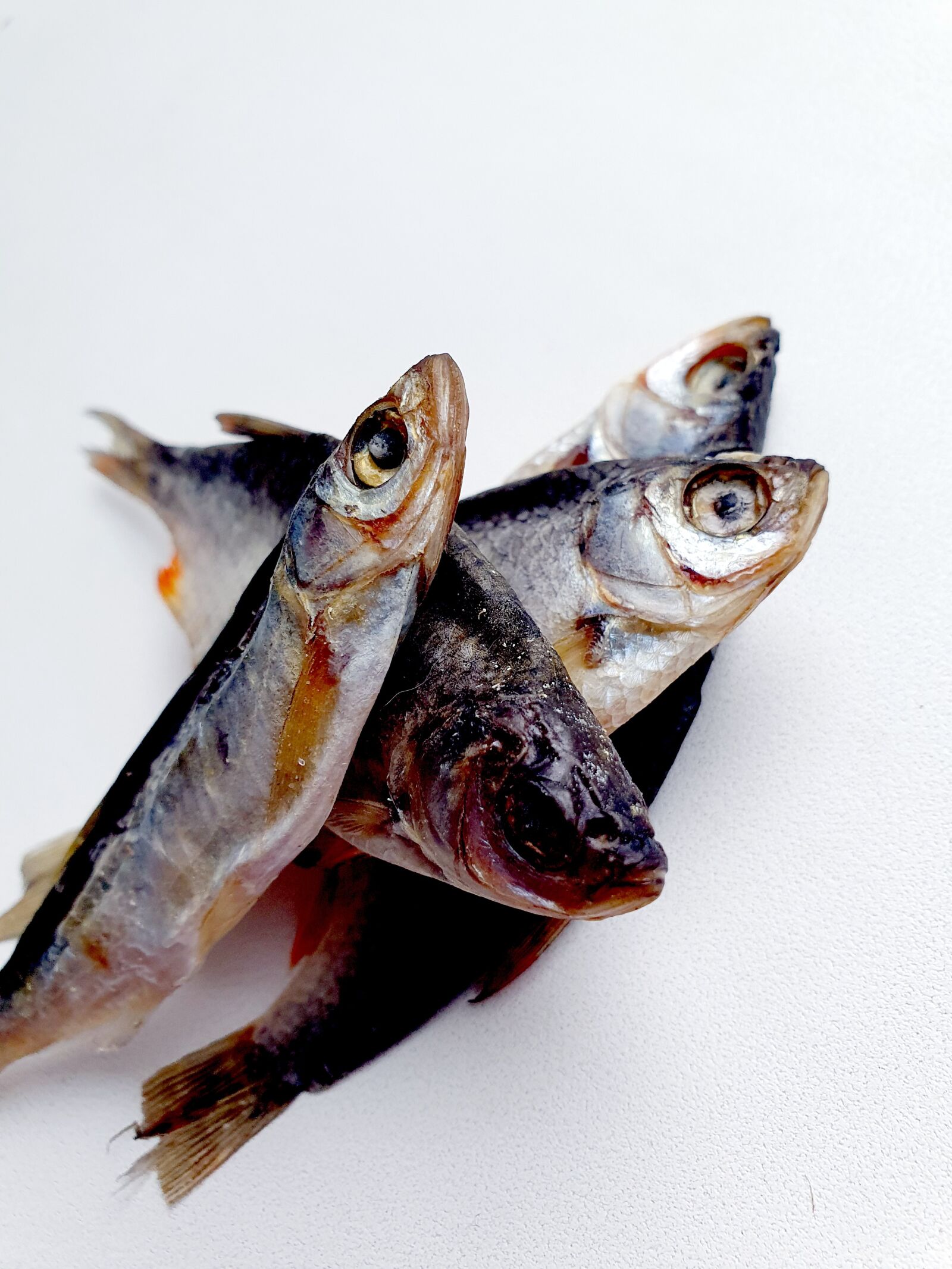 Samsung Galaxy S10 sample photo. Fish, beer, susana photography