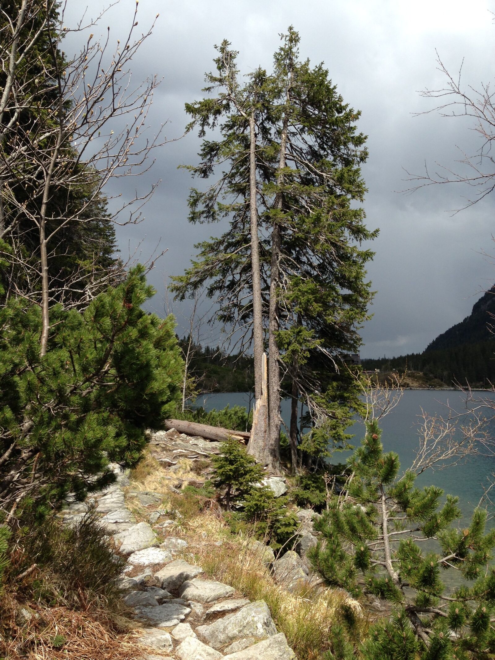 Apple iPhone 5c sample photo. Poland, mountains, tatry photography