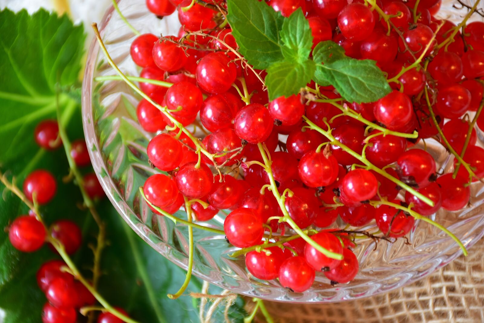 Nikon D7200 sample photo. Currants, red, red currant photography