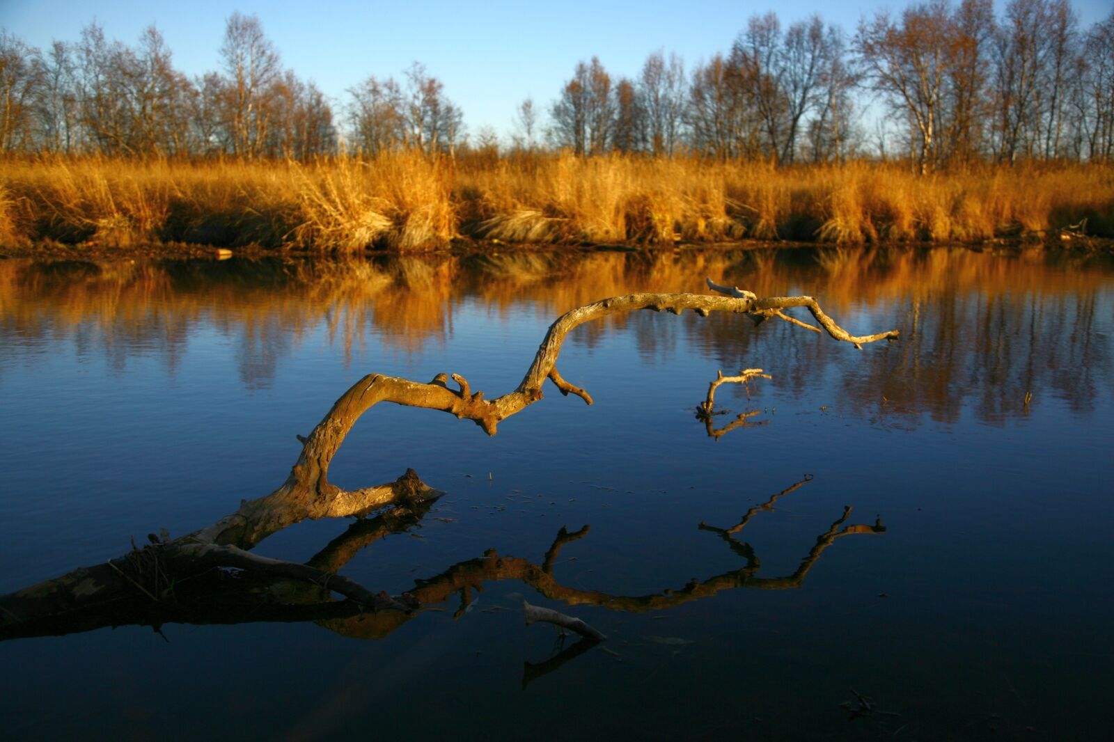 Canon EOS 5D sample photo. Autumn, forest, lake photography