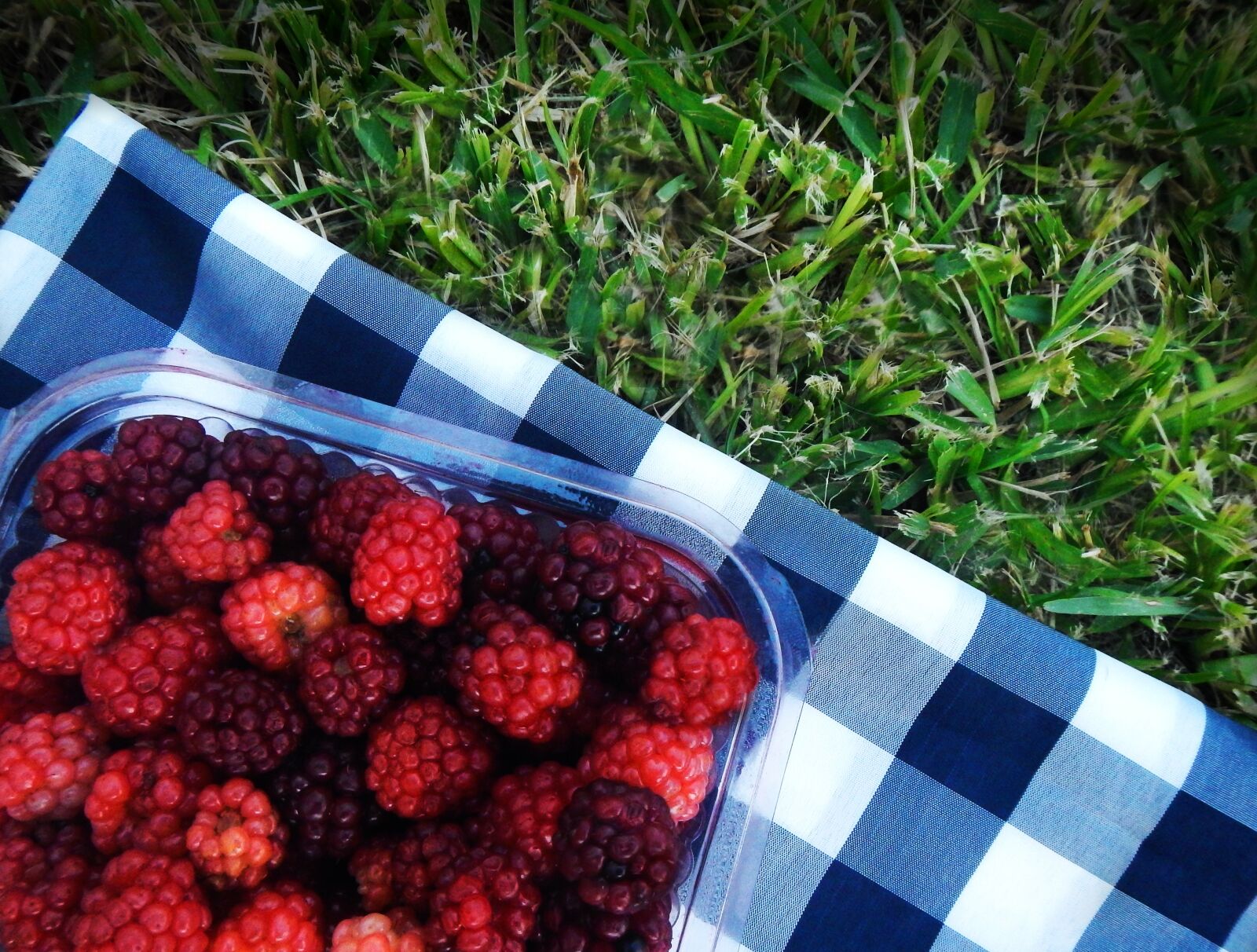 Nikon Coolpix AW110 sample photo. Raspberries, blackberries, picnic photography