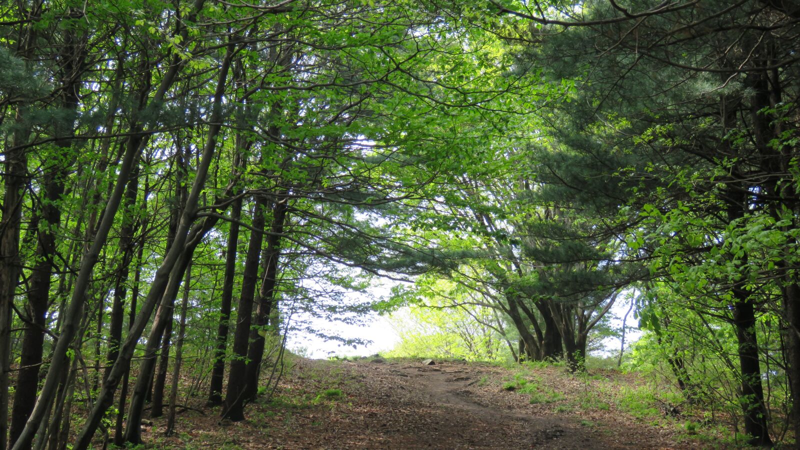Canon PowerShot SX60 HS sample photo. Nature, mountain, climbing photography
