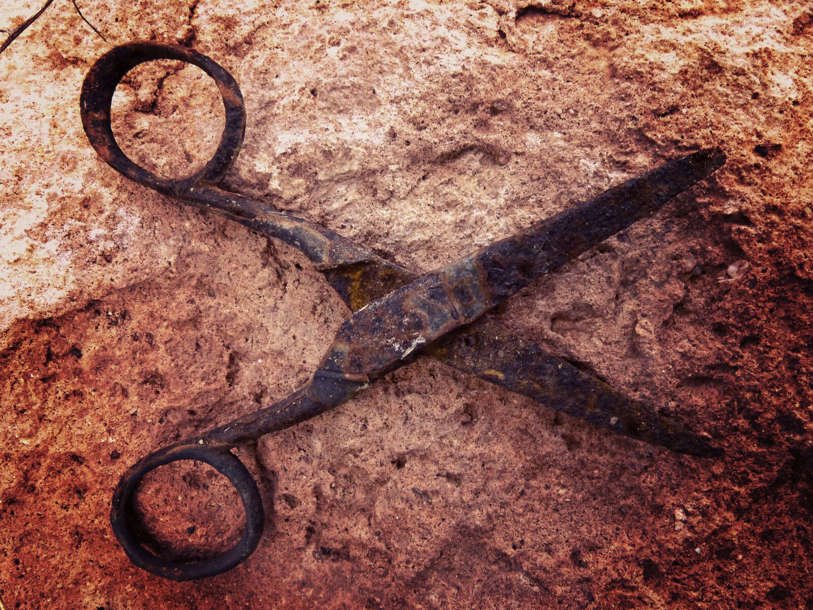 Panasonic DMC-FZ62 sample photo. Scissors, symbol, rusty photography