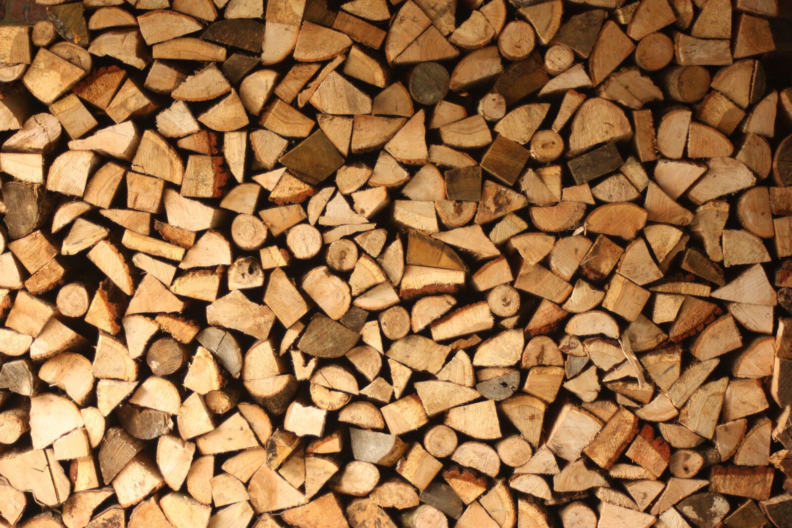 Canon EOS 450D (EOS Rebel XSi / EOS Kiss X2) sample photo. Wood, logs, nature photography