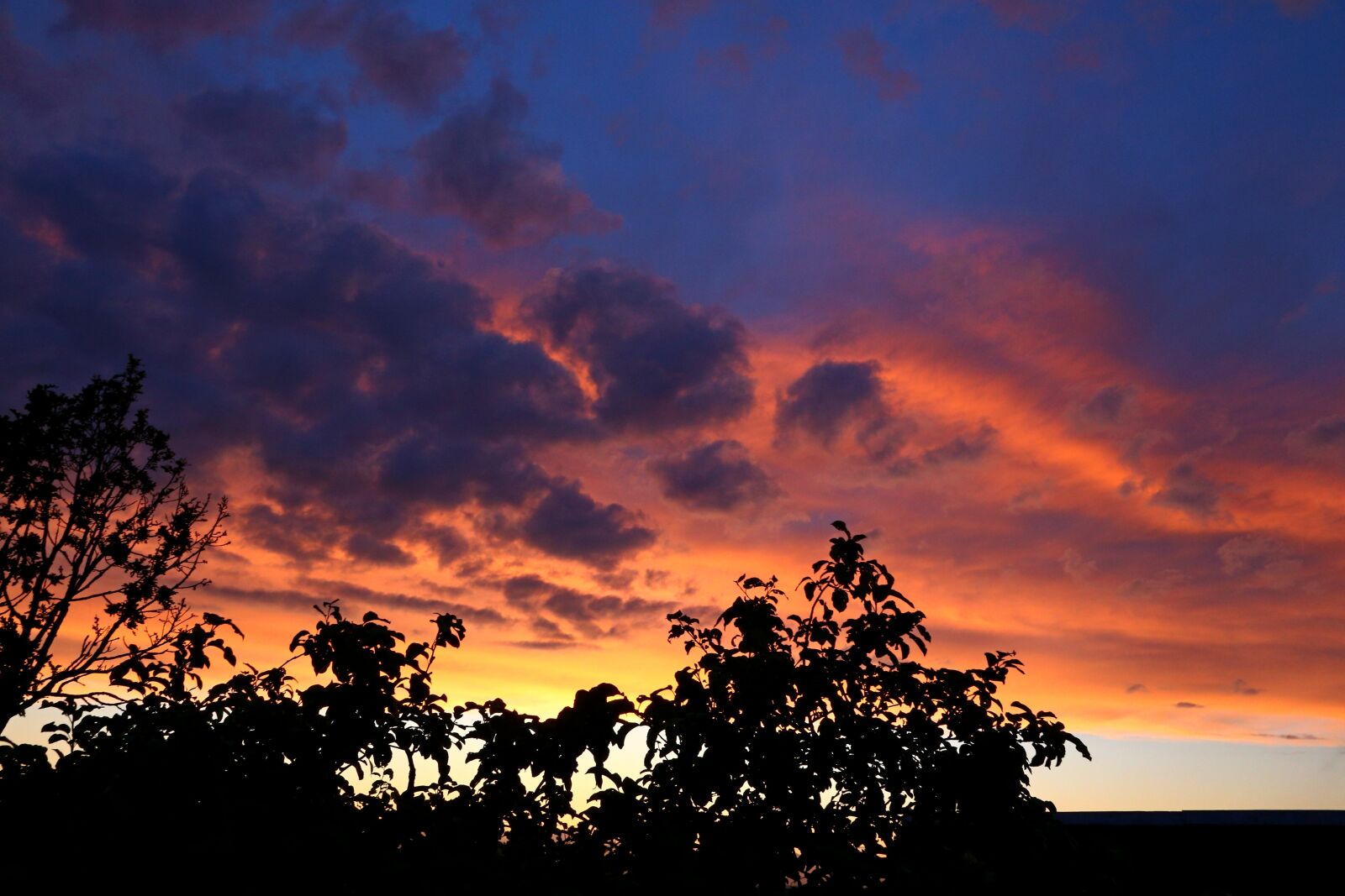 Canon EOS 6D + Canon EF 24-105mm F4L IS USM sample photo. Sunset, panoramic, nature photography