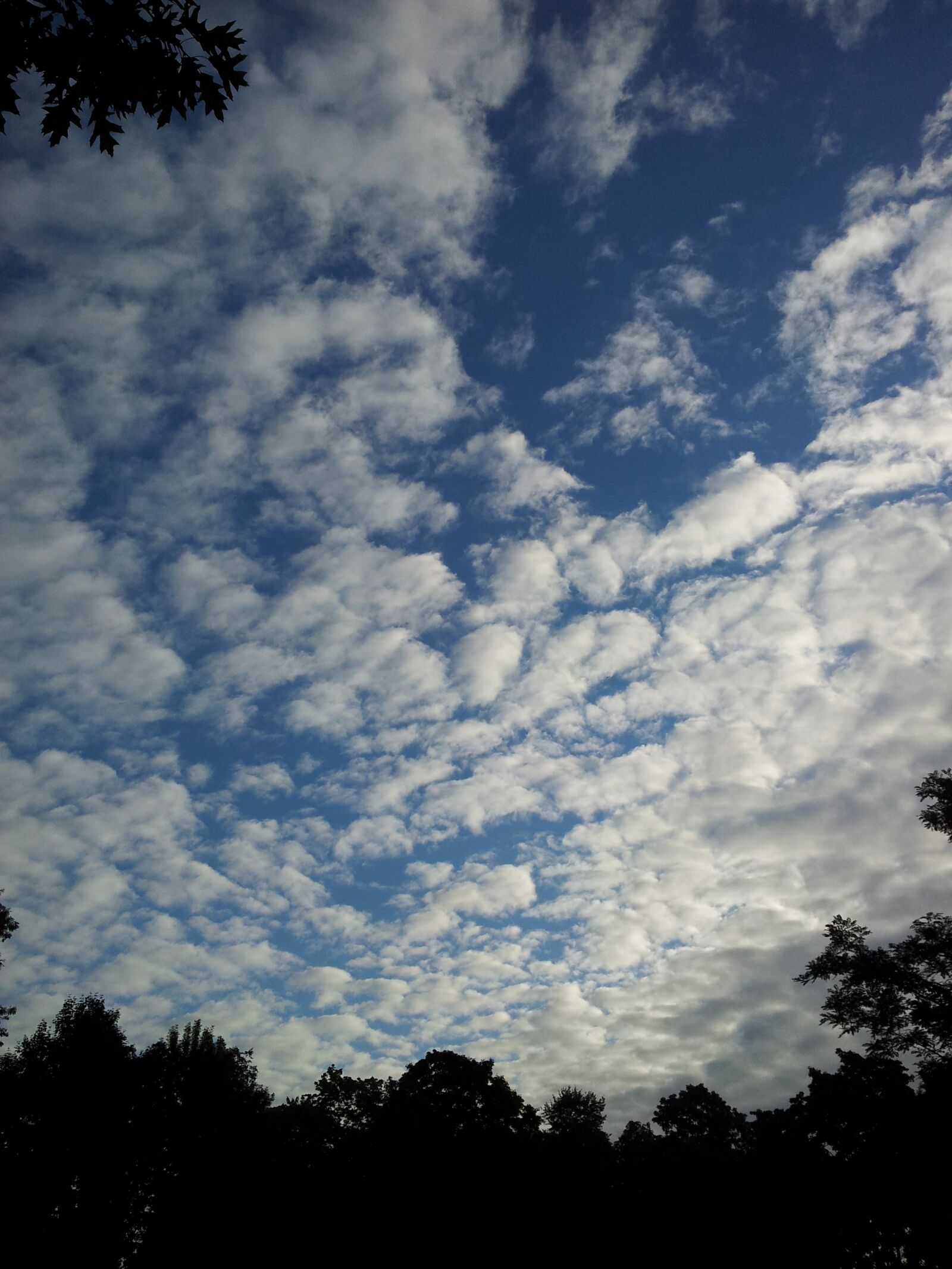 Samsung Galaxy S2 sample photo. Sky, clouds, blue photography