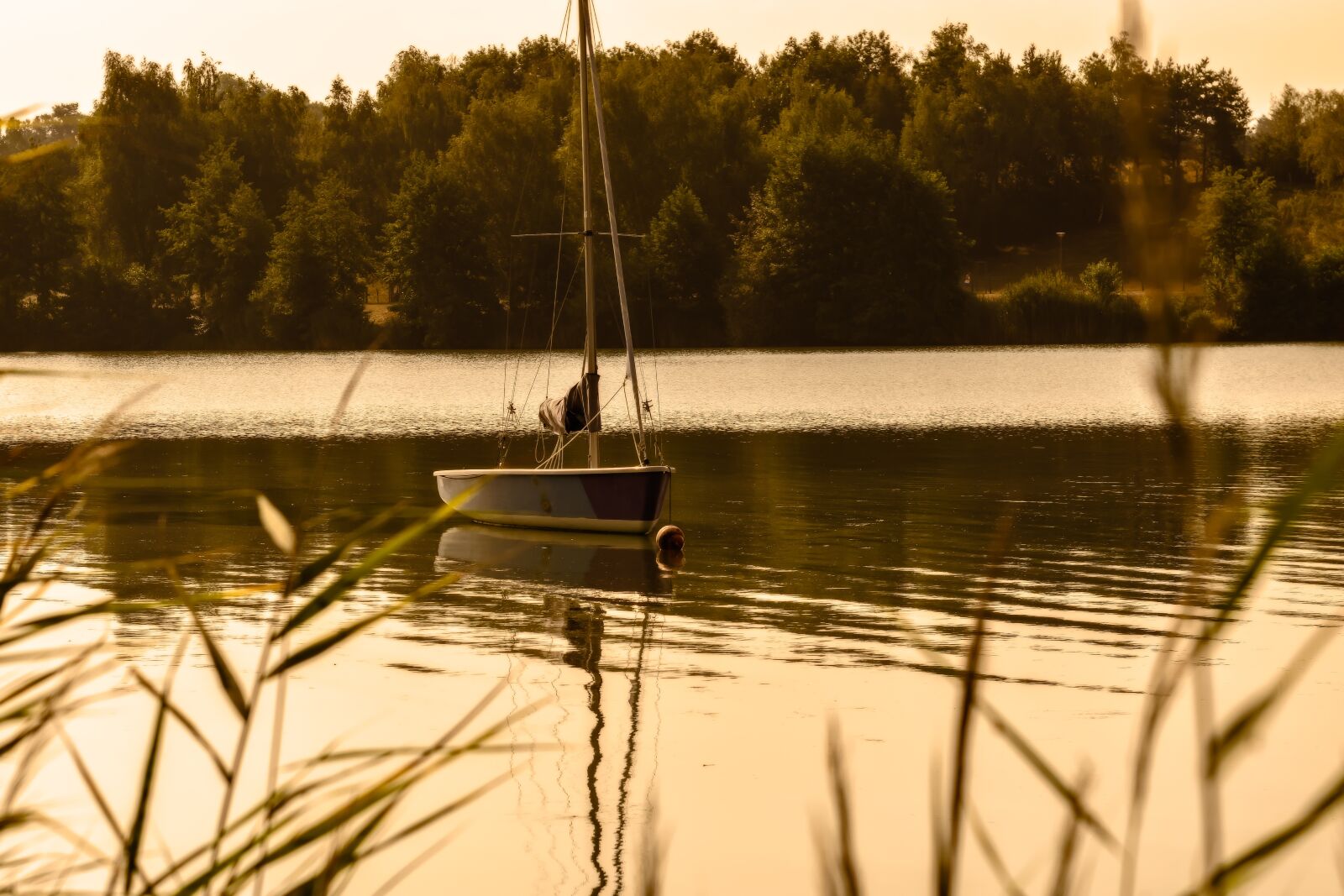 Nikon D3300 sample photo. Lake, sunrise, morning photography