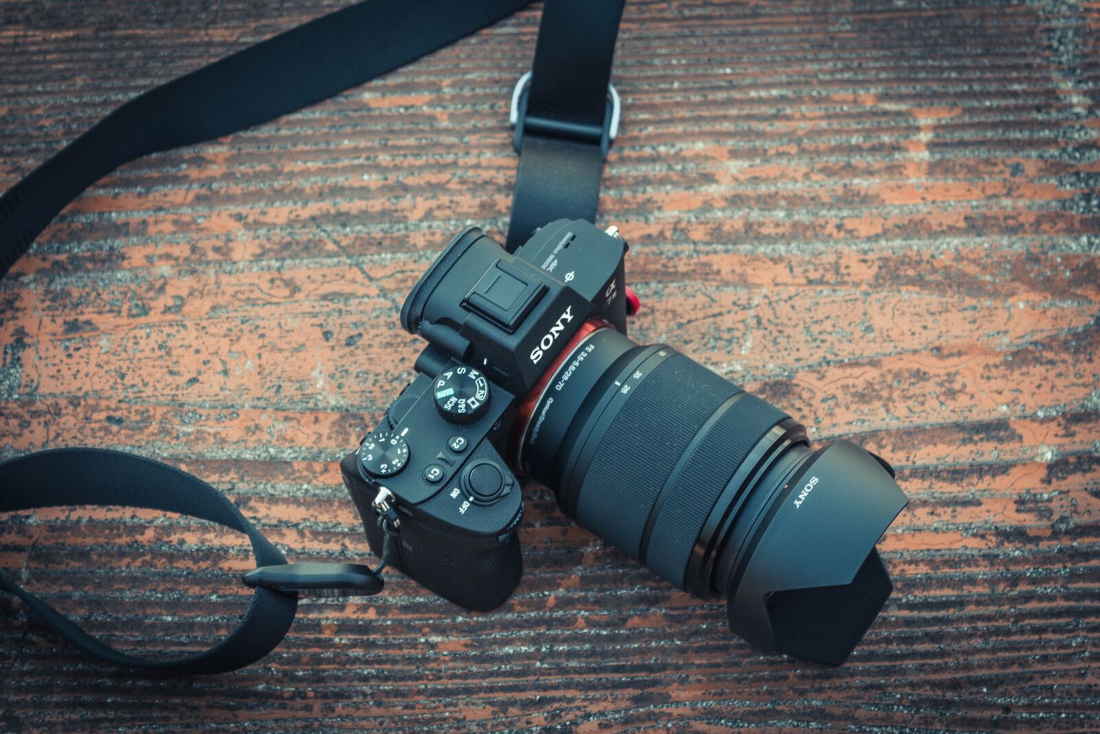 Canon EOS 600D (Rebel EOS T3i / EOS Kiss X5) sample photo. Camera, sony, α7iii photography