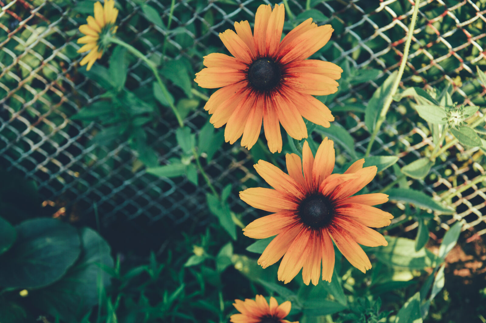 Nikon D3200 sample photo