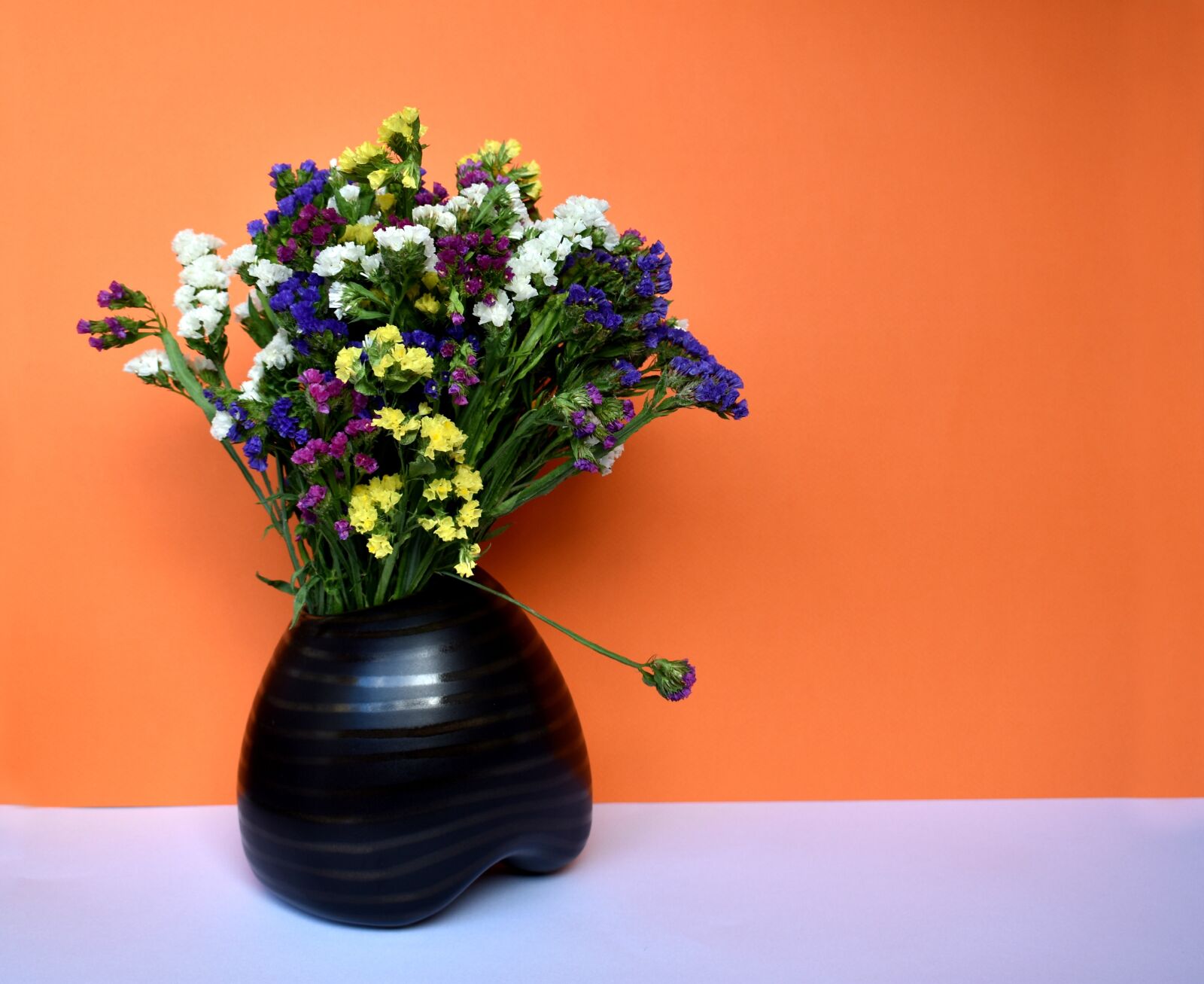 Nikon D3400 sample photo. Still life, still-life, flowers photography