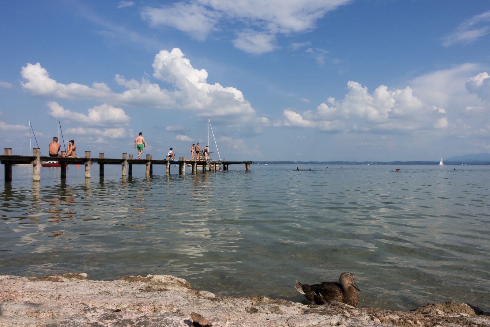 Sony Cyber-shot DSC-RX100 III sample photo. Lake, swim, web photography