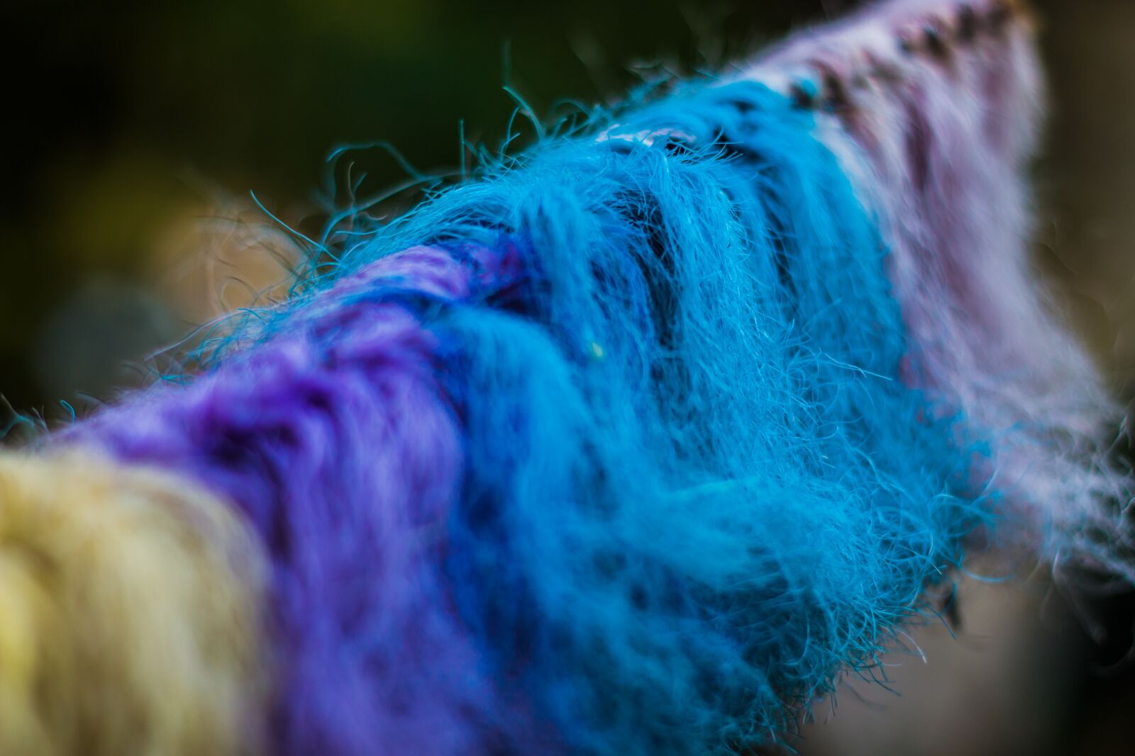 Canon EOS 70D + Canon EF 50mm F1.8 II sample photo. Abstract, colors, colorful abstract photography