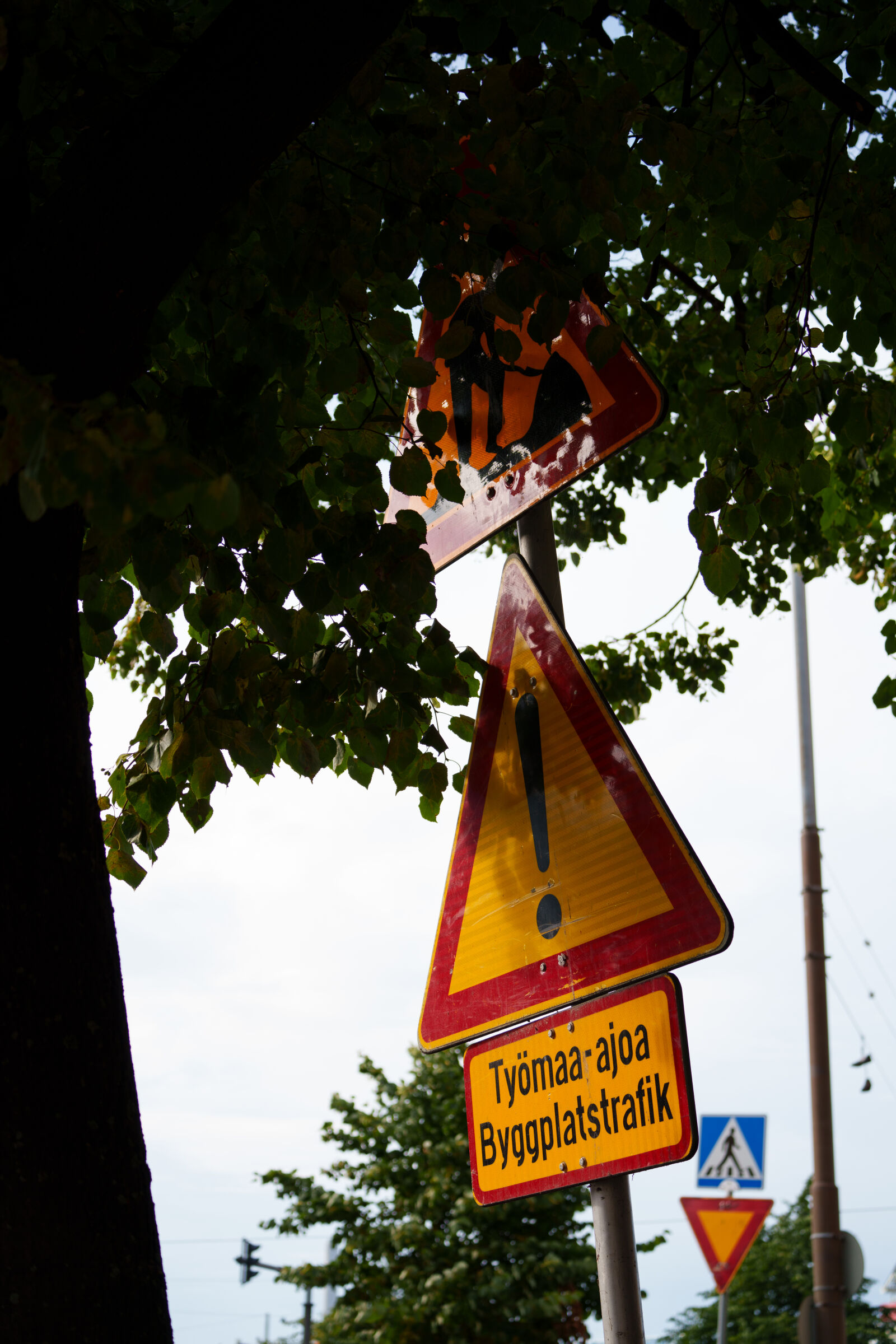 Tamron 50-300mm F4.5-6.3 Di III VC VXD sample photo. Warning behind the tree photography